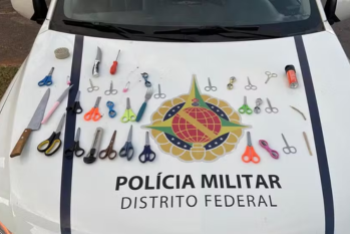 foto Notícia Samambaia