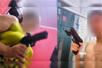 foto Notícia Samambaia