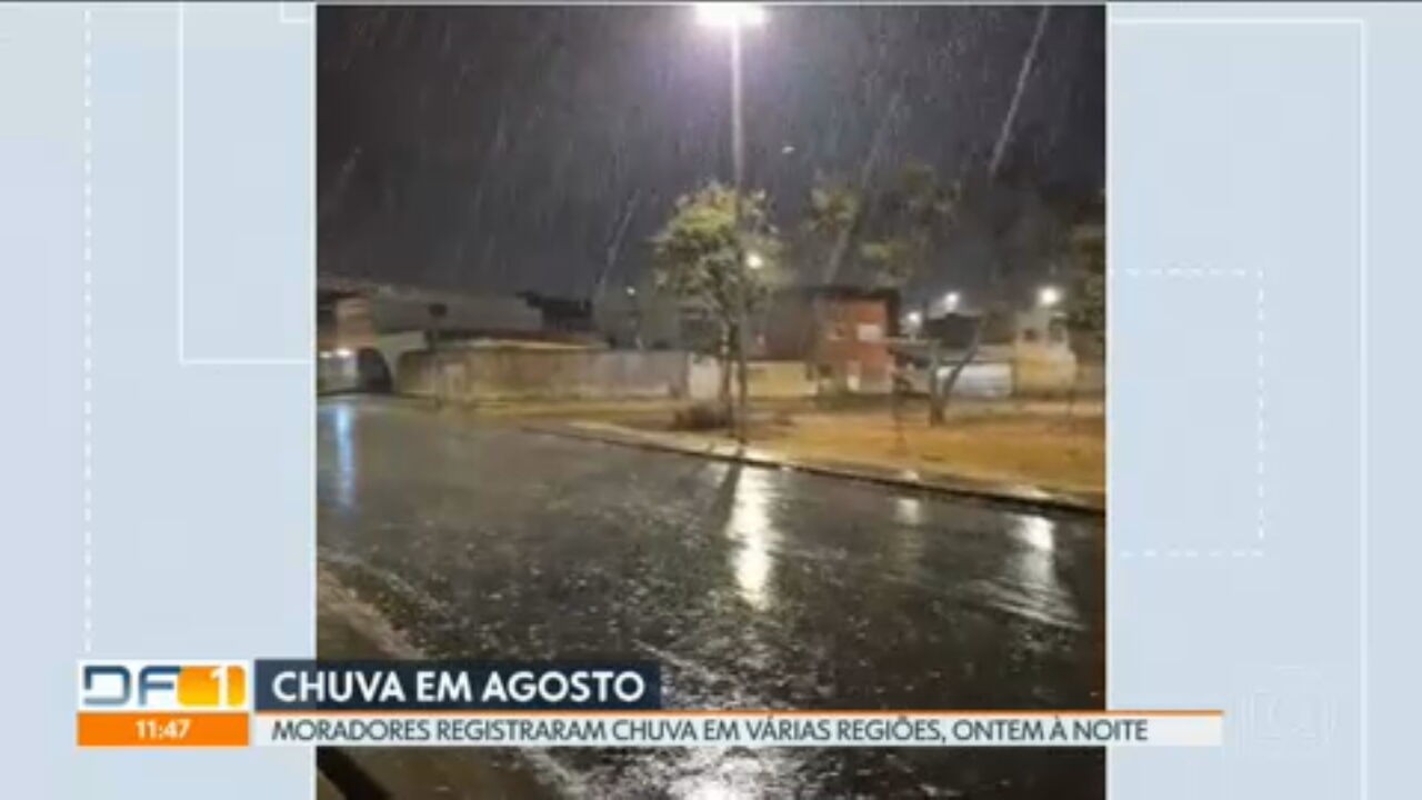 foto Notícia Samambaia